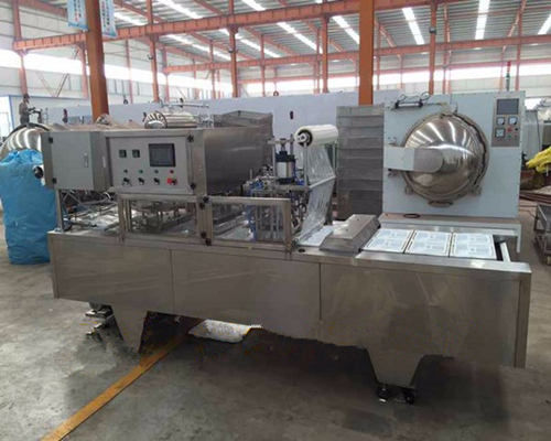 雙排全自動(dòng)氣調(diào)包裝機(jī)