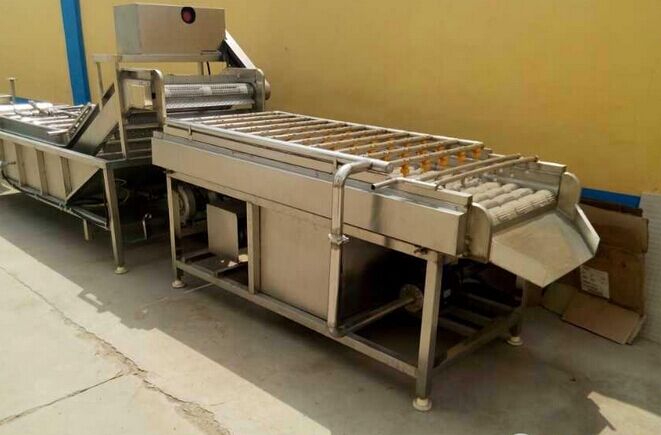 毛刷清洗機(jī)