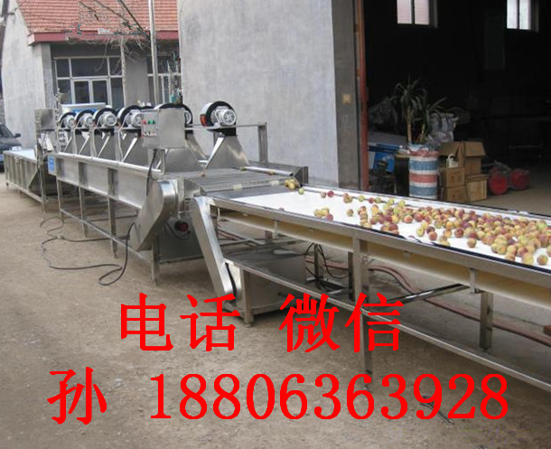 果蔬清洗機(jī)、凈菜生產(chǎn)線