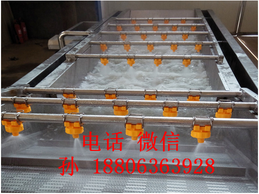 全自動氣泡清洗機(jī) 水果清洗機(jī) 蔬菜清洗機(jī)