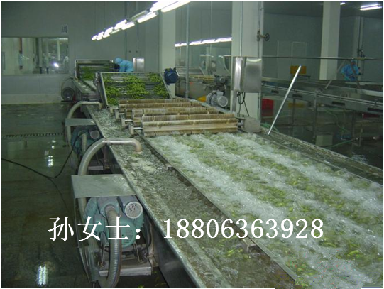 供應(yīng)番茄清洗機(jī) 專業(yè)果蔬清洗設(shè)備制造商 山東田元機(jī)械