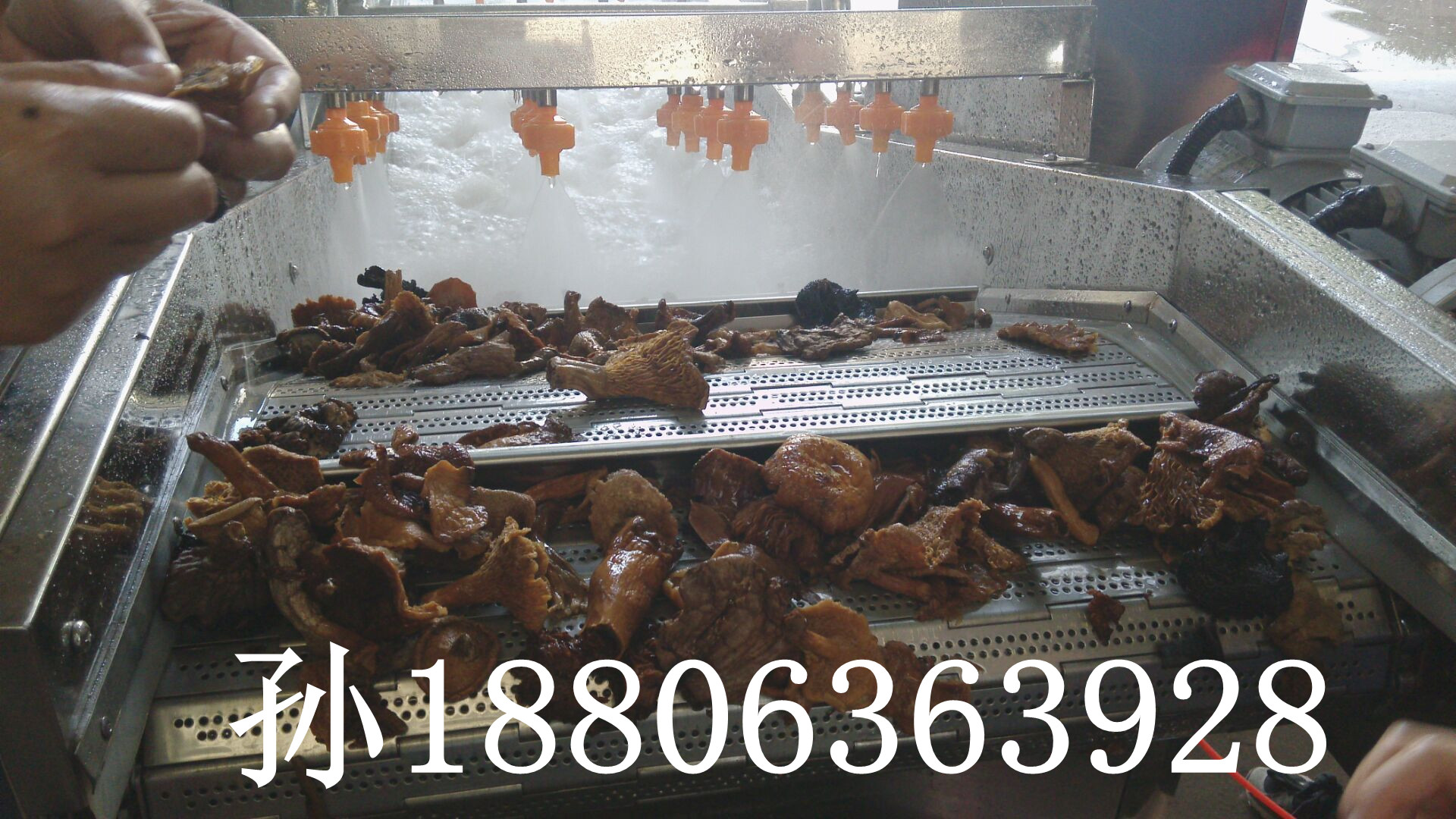 供應(yīng)松茸清洗機 松茸清洗去雜設(shè)備 去雜專業(yè)生產(chǎn)廠家